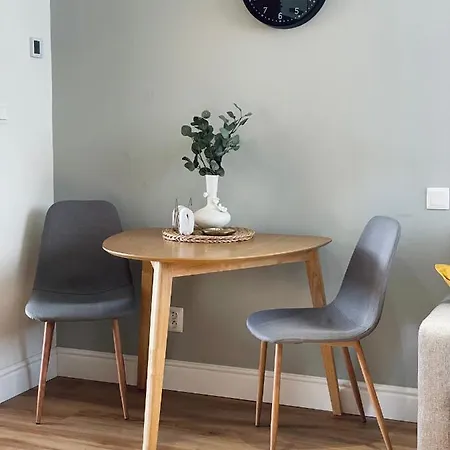 Myslbekova 17 Apartament Ostrawa